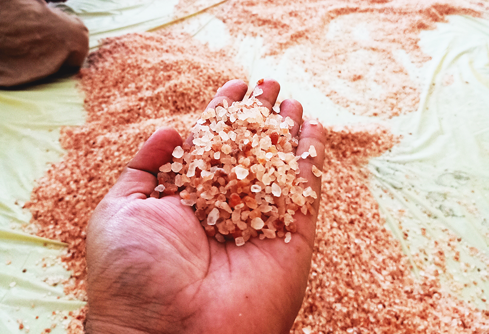 about pinksalt pakistan v2