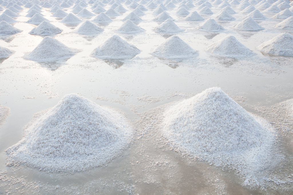 sea salt 1024x683 1